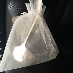 Elegant Silver Spoon with Sheer Bag Awesome Sauce 🫙